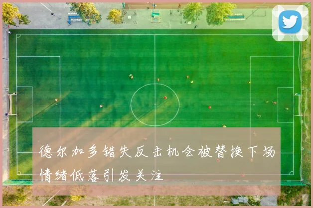 德尔加多错失反击机会被替换下场情绪低落引发关注
