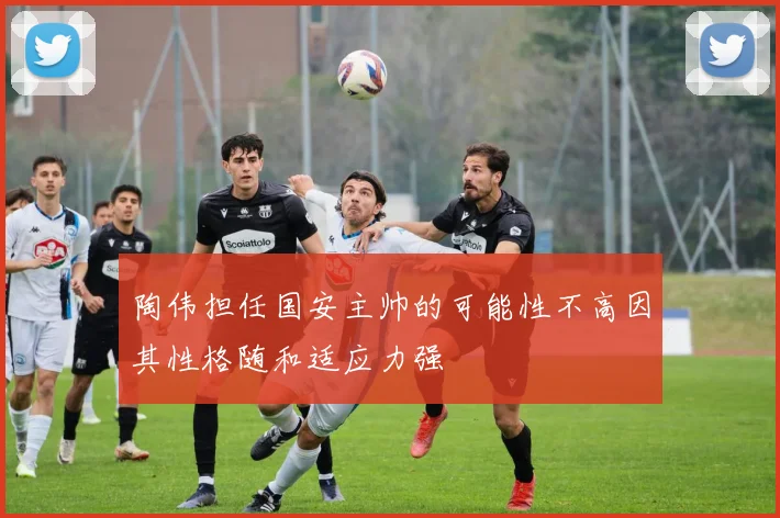 陶伟担任国安主帅的可能性不高因其性格随和适应力强